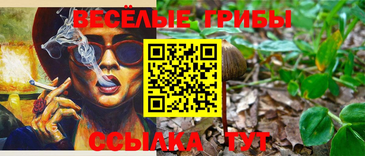 Топки  Галлюциногенные грибы Psilocybe  цена   Вход с VPN  Галлюциногенные грибы ЛСД 