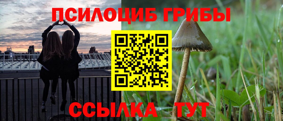 Псилоцибиновые грибы GOLDEN TEACHER Топки